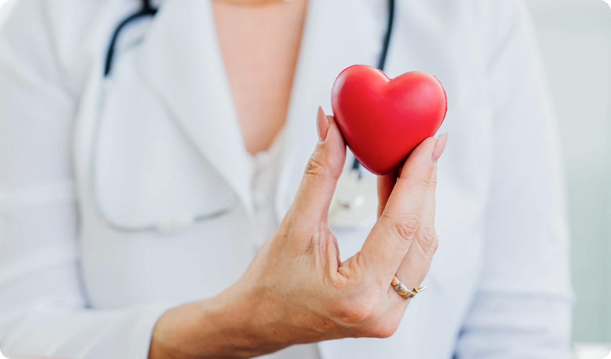 Doctor holding a red heart-shaped object.