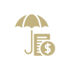 Umbrella, document, and dollar sign icon.